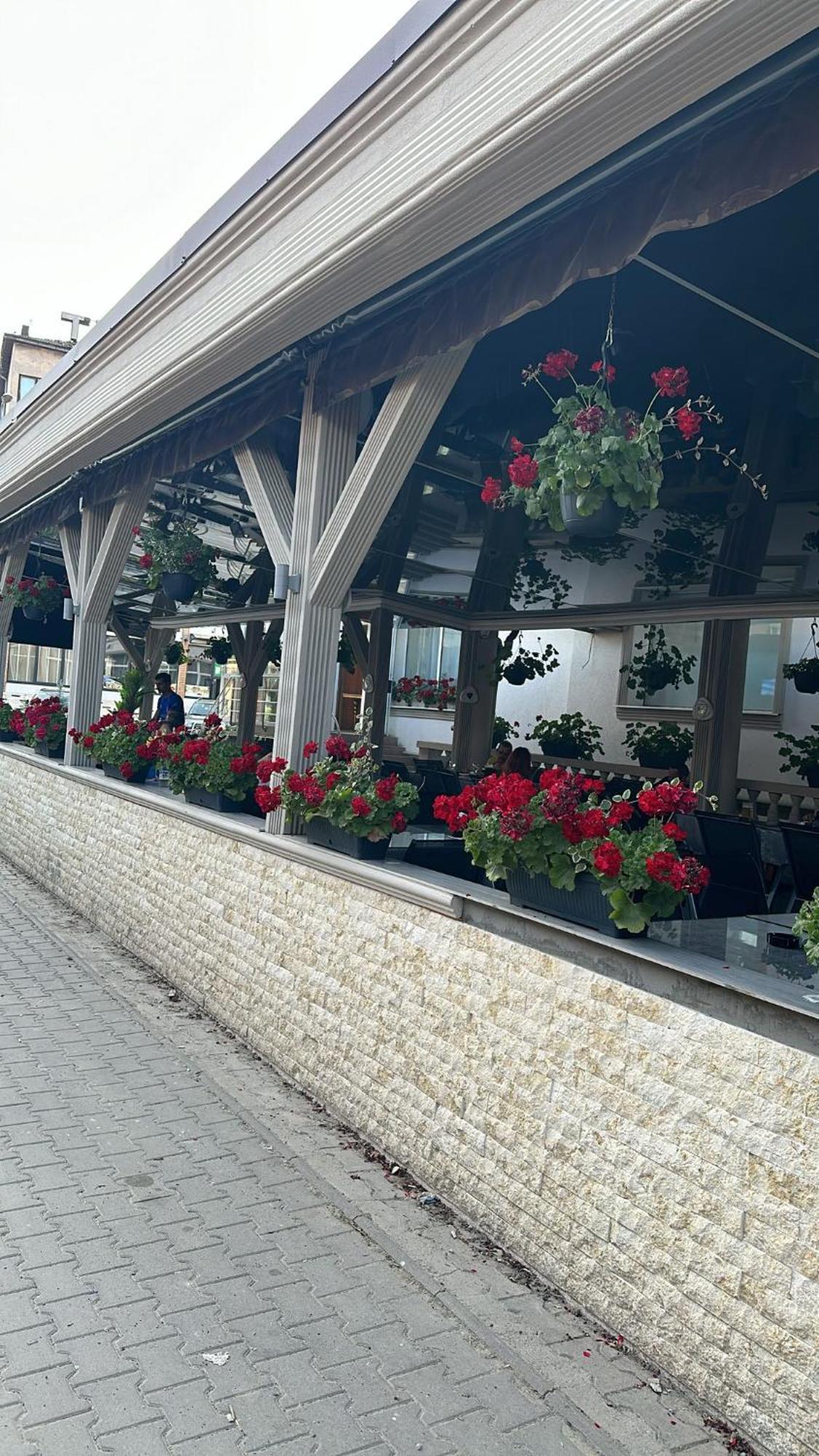 Pensiunea Balea Cîmpeni Buitenkant foto